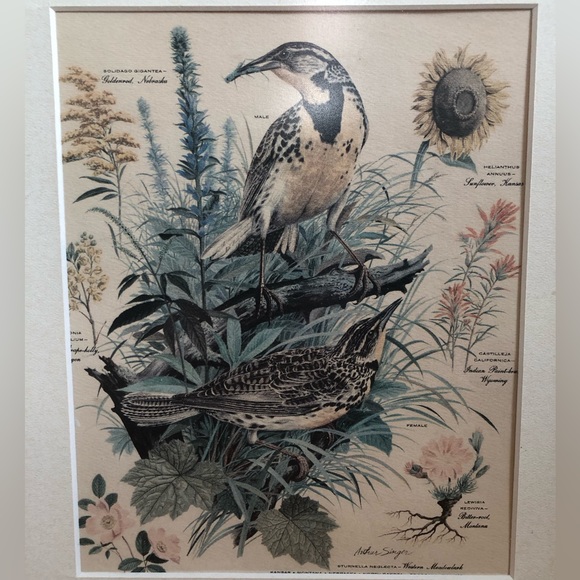 Vintage Arthur Singer ‘Meadowlark’ Print - Picture 3 of 7